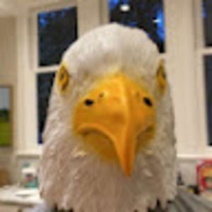 Meet your Posher, Owen